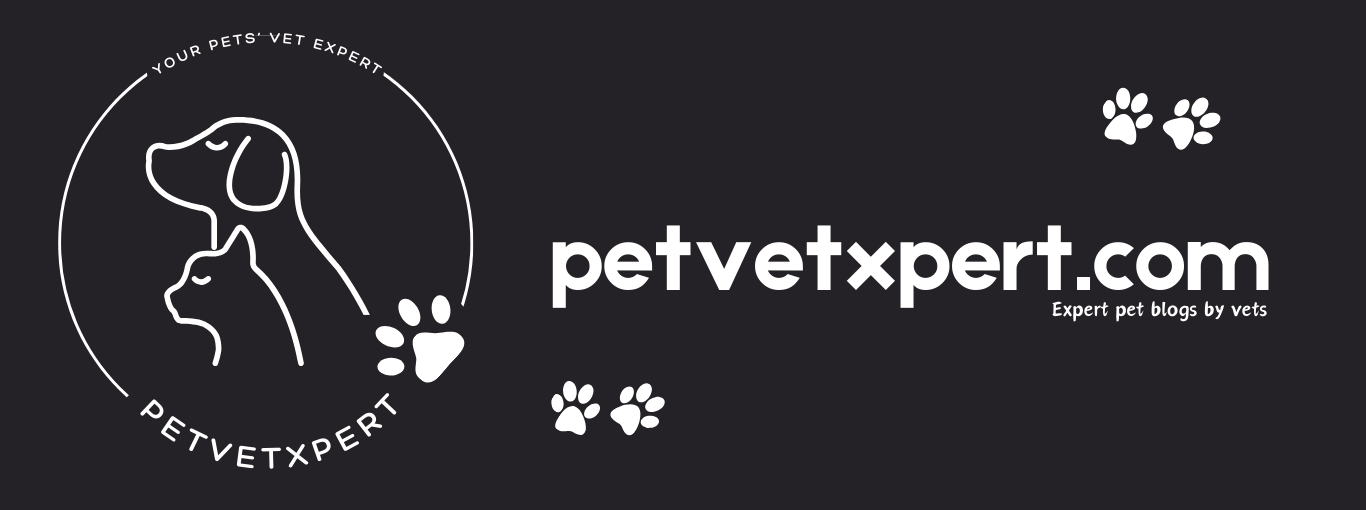 PetVetXpert