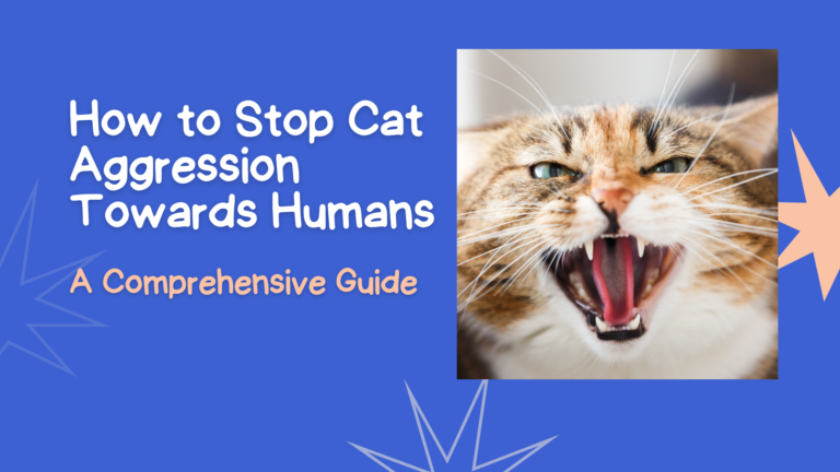 How to Stop Cat Aggression Towards Humans: A Comprehensive Guide